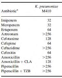 Αποτελέσματα Πίνακας 11. MICs β-λακταμικών αντιβιοτικών για την K. pneumoniae M410 Η PCRγια τα γονίδια ESBL και η αλληλούχισή τους έδειξε την παρουσία των γονιδίων bla TEM-1, bla KPC-2 και bla SHV-12.