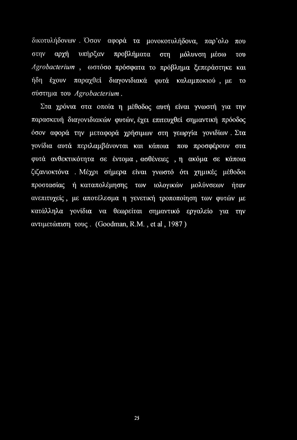 καλαμποκιού, με το σύστημα του Agrobacterium.