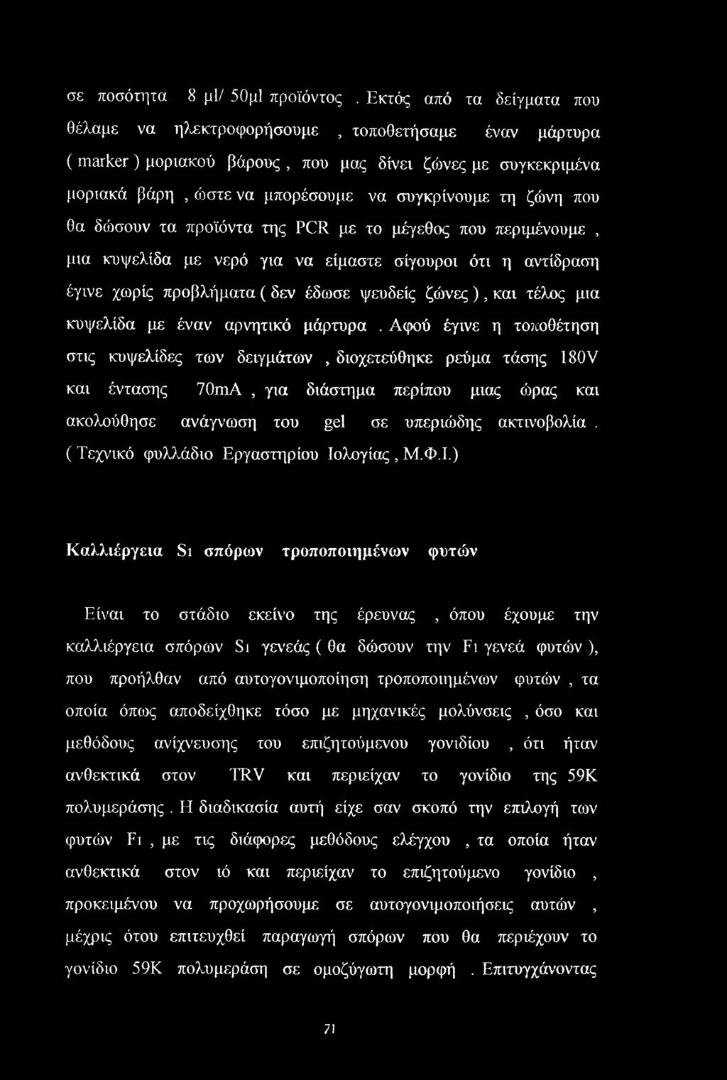 που θα δώσουν τα προϊόντα της PCR με το μέγεθος που περιμένουμε, μια κυψελίδα με νερό για να είμαστε σίγουροι ότι η αντίδραση έγινε χωρίς προβλήματα ( δεν έδωσε ψευδείς ζώνες ), και τέλος μια
