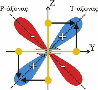 ΚΕΦΑΛΑΙΟ 2 Σχήμα 2.5. Τρόπος ακτινοβολίας και αζιμουθιακή κατανομή των πλατών των Ρ-κυμάτων εξαιτίας διάτμησης με το αντίστοιχο διπλό ζεύγος δυνάμεων.