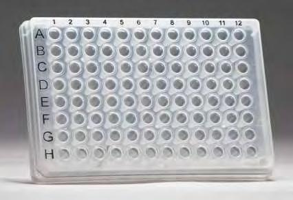 Εικόνα 21: Τρυβλίο 96 θέσεων (96-wellplate) Την δεύτερη ημέρα πραγματοποιείται η προσθήκη των εξεταζόμενων εκχυλισμάτων στα κύτταρα.