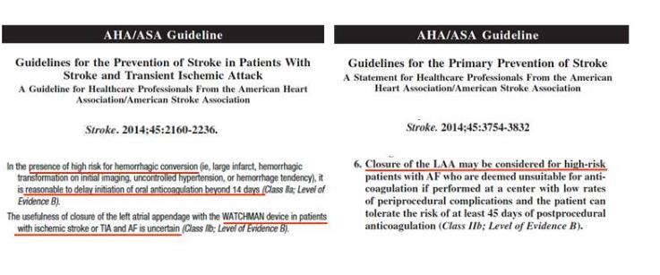 AHA/ASA Guidelines for