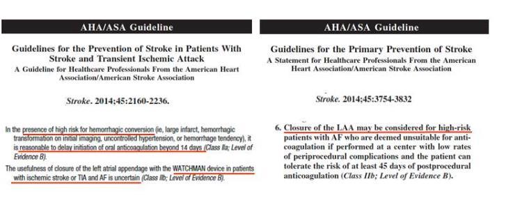 AHA/ASA Guidelines for
