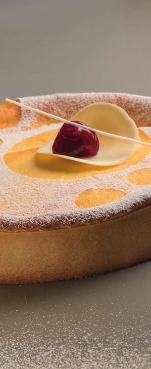 Cheesecake a l'ancienne Βάση Πάστα Φλώρα Αλεύρι ζαχαροπλαστικής Άχνη ζάχαρη Αυγά PatisFrance Amandes Rapees Αλάτι 750 g 450 g 300 g 160 g 10 g 1.