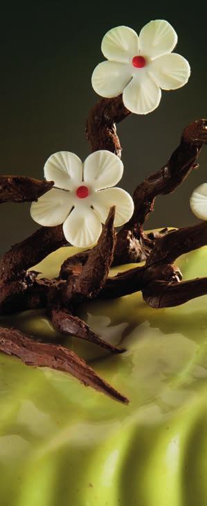 Pistachio-Cherry cake Παντεσπάνι Σοκολάτας 1. Χτυπάμε όλα τα υλικά για 5 στη 2η ταχύτητα με το φτερό. 2. Απλώνουμε σε δυο λαμαρίνες και ψήνουμε στους 180 C περίπου για 10.