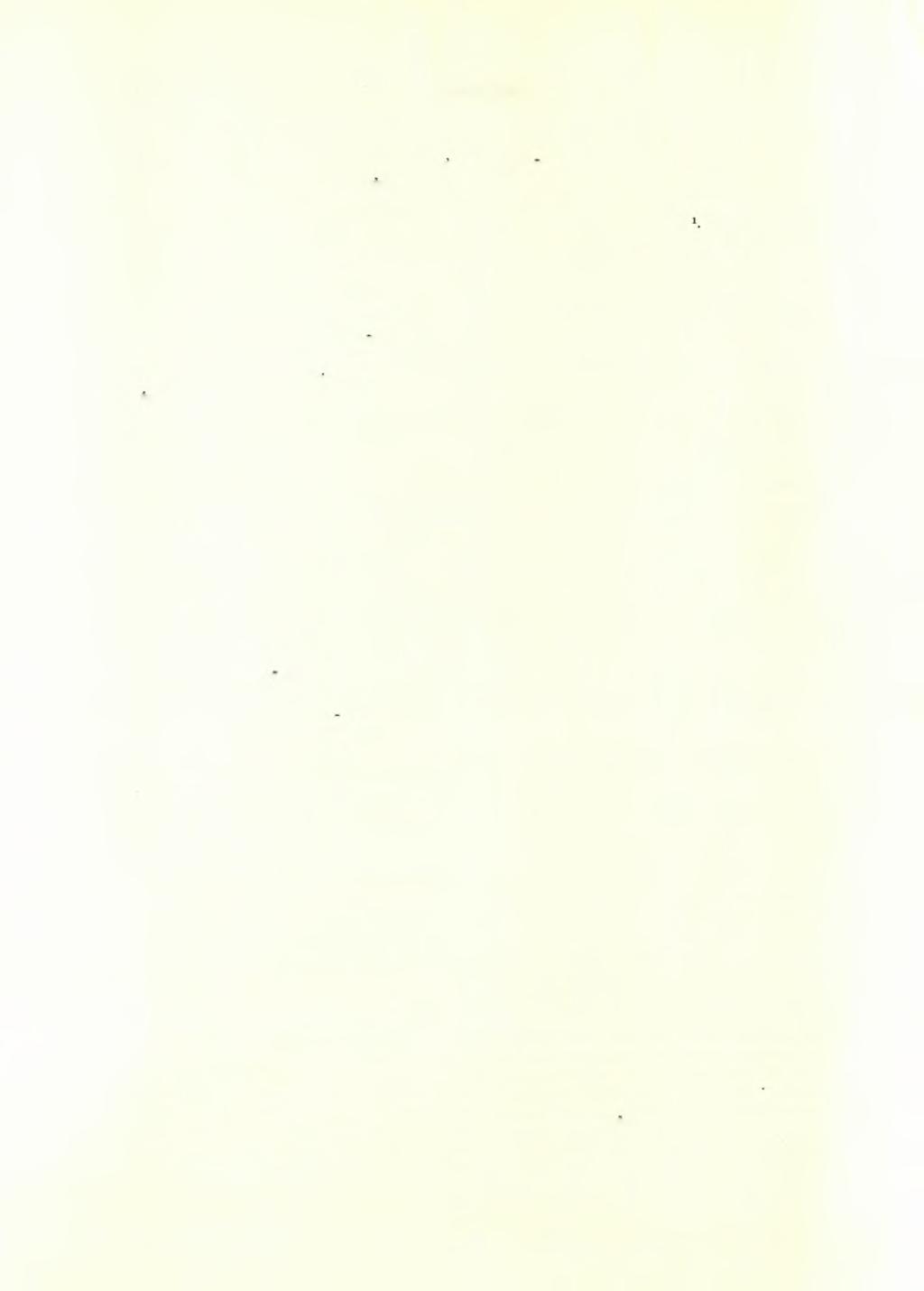 182 ΑΡΧΑΙΟΛΟΓΙΚΟΝ ΔΕΛΤΙΟΝ 17 (1961/2) : ΧΡΟΝΙΚΑ βαίνων καθέτως πρός τήν Ανατολικήν στοάν, προΰπήρχε τής κατασκευής ταύτης, διότι και οί τοίχοι της πατοϋν έπ αύτοϋ καί αυτός ούτος παρουσιάζει διάφορον