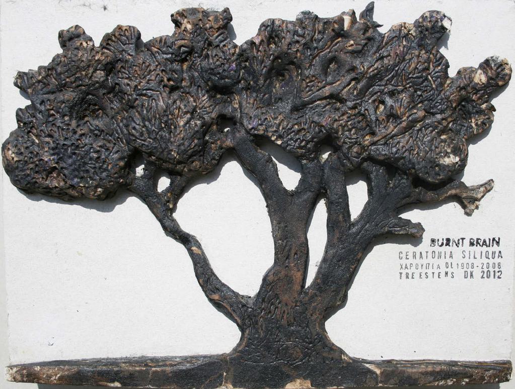 Burntbrain / Burntbrain / Burntbrain 2012 28 24 cm Burnt pulp