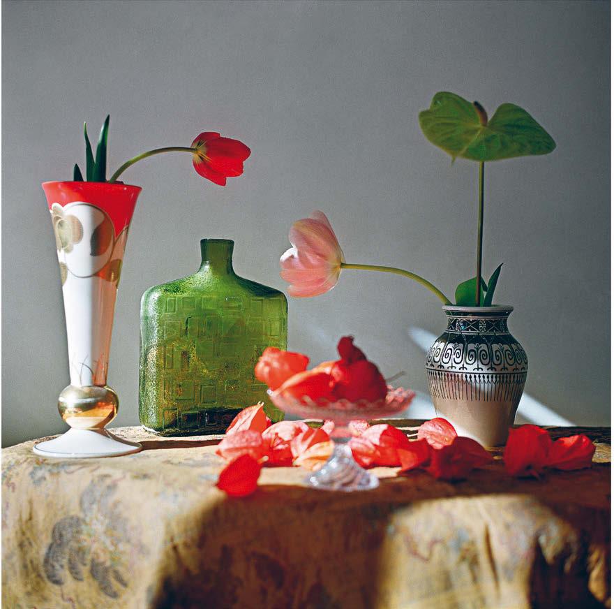 Symbole 2016 60 60cm Photograph / φωτογραφία / Photographie 3 Untitled from the series Still Life / Χωρίς