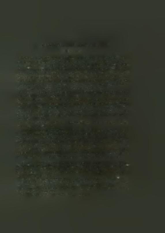 άνάμεσα σέ δύο άκέφαλα άνδρικά (Palliati)3 (Πίν. 64 α - β).