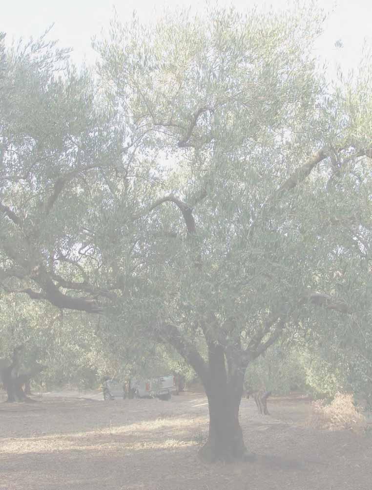 ΟΙ ΚΥΡΙΕΣ ΡΑΣΤΗΡΙΟΤΗΤΕΣ ΚΑΙ ΟΙ ΕΠΙΠΤΩΣΕΙΣ ΤΟΥΣ ΣΤΟ ΠΕΡΙΒΑΛΛΟΝ ΚΑΙ ΤΗΝ ΠΟΙΟΤΗΤΑ (πράσινα γράµµατα = θετικές επιπτώσεις, κόκκινα γράµµατα = αρνητικές) (Bold = Σηµαντικές Επιπτώσεις ΚΛΑ ΕΜΑ Βελτίωση