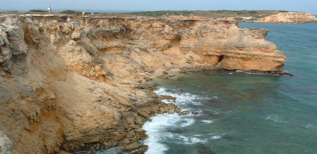 Κεφάλαιο 3 3.1 Πρανή- Παράκτιοι Κρημνοί ( coastal cliffs) Πρανή ονομάζονται οι κεκλιμένοι φυσικοί ή τεχνητοί σχηματισμοί εδάφους ή βράχου.