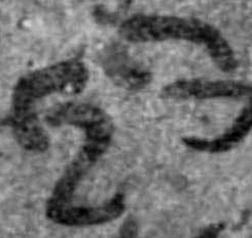 1378, 4 Fig.