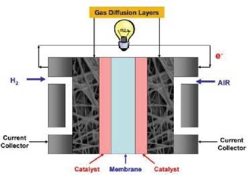 Στρώμα διάχυσης αερίων (Gas Diffusion Layers, GDL) ή πορώδες στρώμα (backing layer) Το στρώμα διάχυσης των αερίων, μπορεί είτε να αποτελεί μέρος του ηλεκτροδίου, τόσο της ανόδου όσο και της καθόδου,