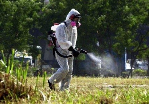 µε συνέπεια τη µονιµότητα του αποτελέσµατος της βιολογικής καταπολέµησης) Μειονεκτήματα. Μεγάλο κόστος αγοράς ωφέλιμων εντόµων.