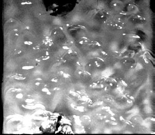 ms) (β) Σχήµα 5.2.