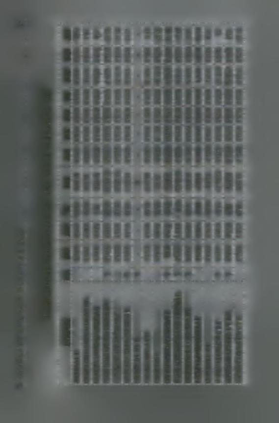 Ι ΔΚΤ 4,26 7,48 4,97 5,0 65,82 20,0 I 8, 45,95 95,85 -,4 7,9 08,62 4,2 6,20 5,82 ΔΠΠ 0,759 0,296 0,405 0,8064 0,585 0,994 0,44 θ' 0,580 --------, 0,8805 0,4069 0,4064 0,2958 0,2540 0,872 0,076 ΔΕΙΚ