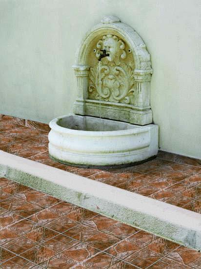 30x30-Portici Rose 