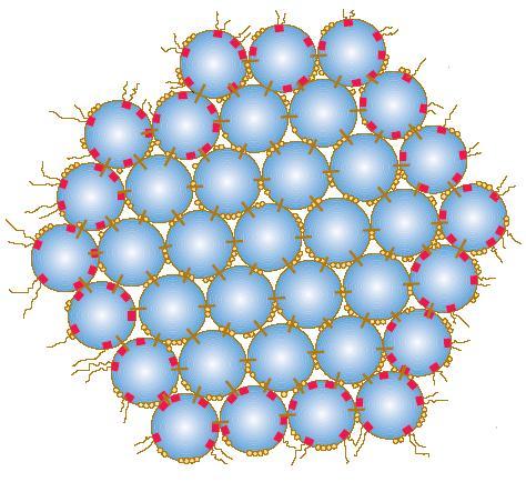 Δομή Μικκυλίου Καζεΐνης 1/2 Υπομικκύλια καζεΐνης οργανωμένα σε μικκύλιo (Tetra Pak, 1995).
