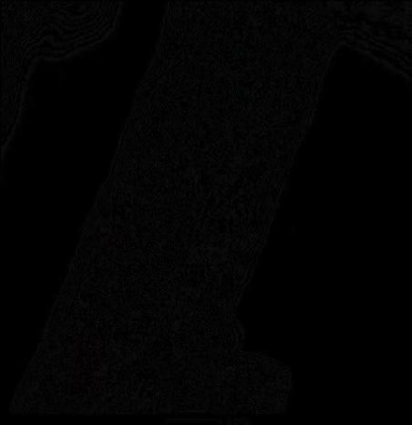 p.), (g) 3.6 wt% Pt/CeO 2 (d.p.). Η ιμνθμθμβία