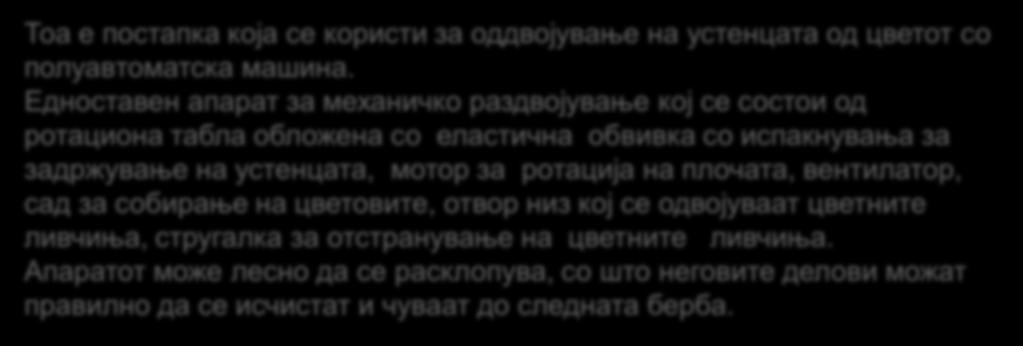 Раздвојување Тоа е постапка која се користи за оддвојување на устенцата од цветот со полуавтоматска машина.