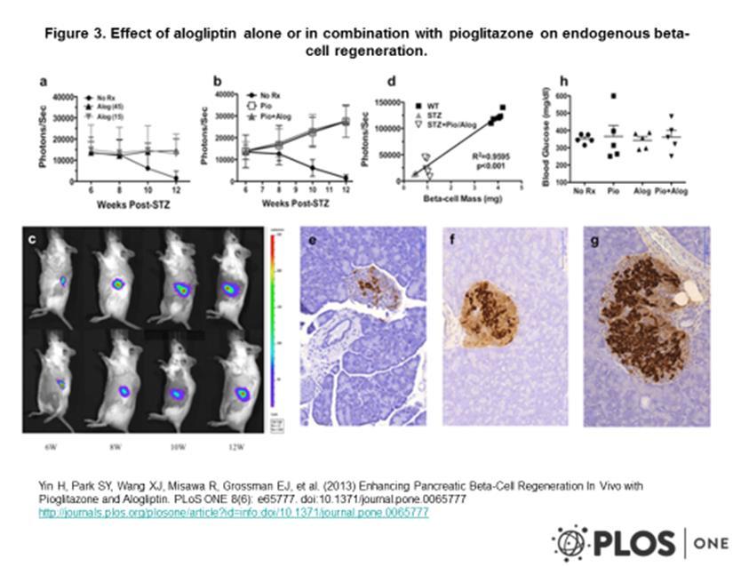Enhancing Pancreatic Beta-Cell