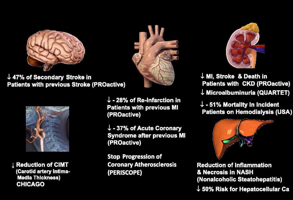 Protection effects of pioglitazone relating to various organs.