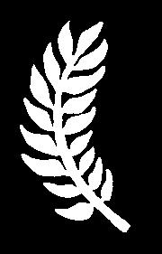 πάντα για τις ζέβρέσ, έτσι; Είναι