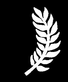 καταλήγουν σχεδόν πάντα στα σαγόνια