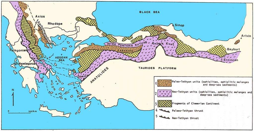 Σχήµα 1.1 Οι Ελληνικές γεωτεκτονικές ζώνες σήµερα. 1.2 ΜΟΡΦΟΛΟΓΙΚΑ ΧΑΡΑΚΤΗΡΙΣΤΙΚΑ Οι Ελληνικές οροσειρές µπορούν να διακριθούν σε δύο κλάδους: τον δυτικό και τον ανατολικό.
