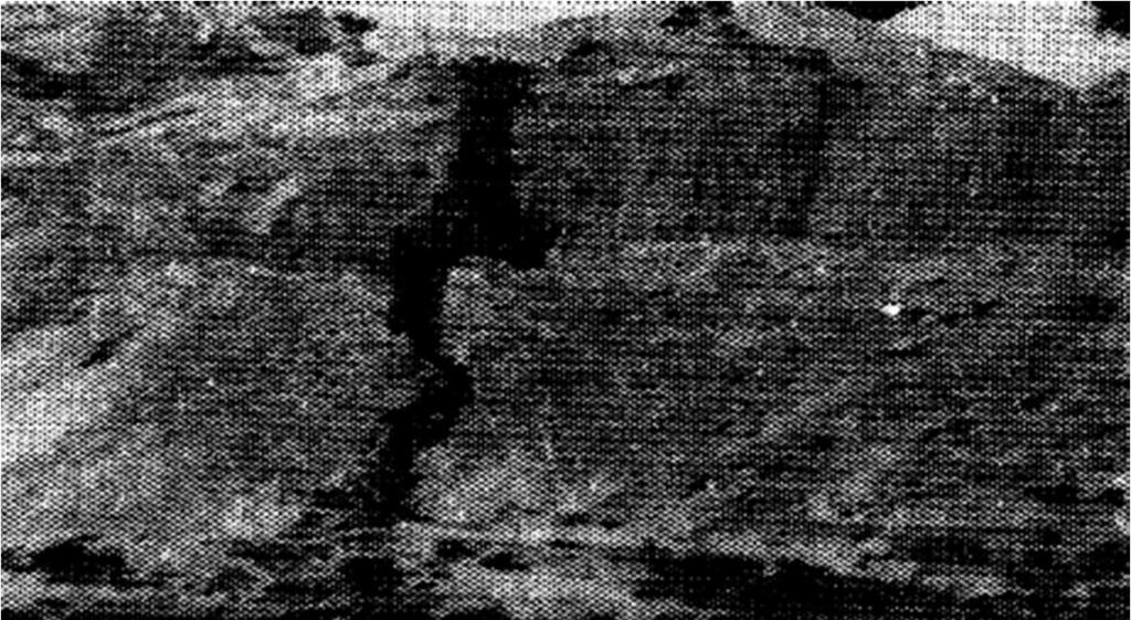 widespread damages,