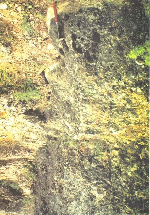 Fault Surface (Early Neogene) Η παλιά κατοπτρική επιφάνεια του σεισμικού ρήγματος.