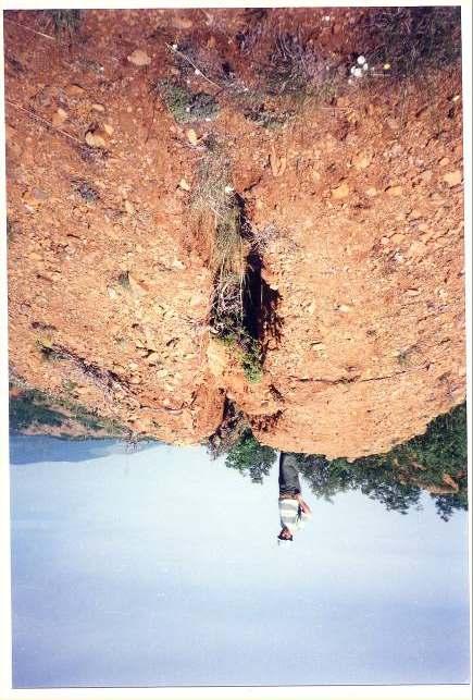 Gravitational Cracks