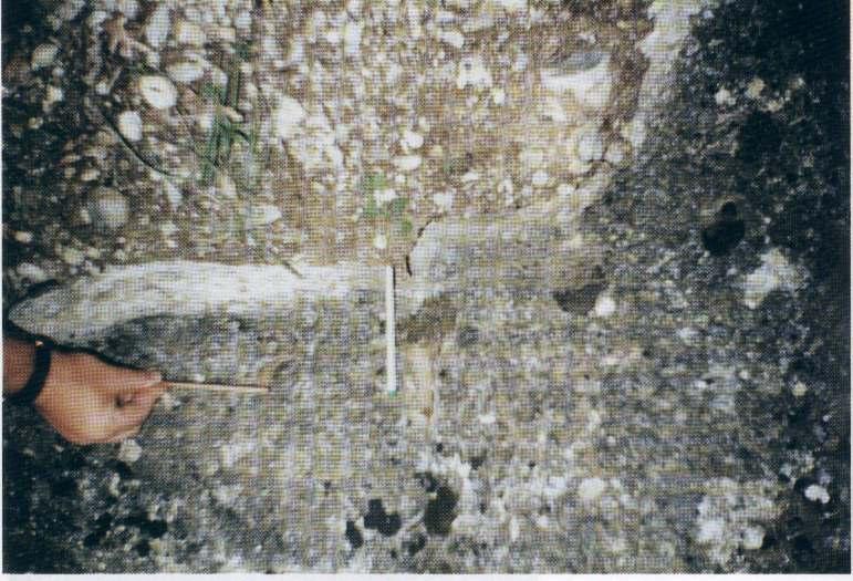FAULT PARAMETRES AS INPUT TO SHA