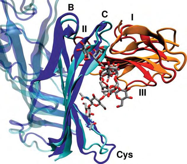 N. Dimitropoulos et al.