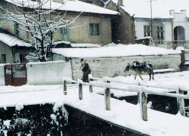 Κεφάλαιο 15ο Η ζωή στα βουνά και στις πεδιάδες Στο κεφάλαιο αυτό θα μάθετε: ποιες είναι οι ασχολίες των ανθρώπων που ζουν στα βουνά και τις πεδιάδες για τις δυσκολίες που αντιμετωπίζουν οι