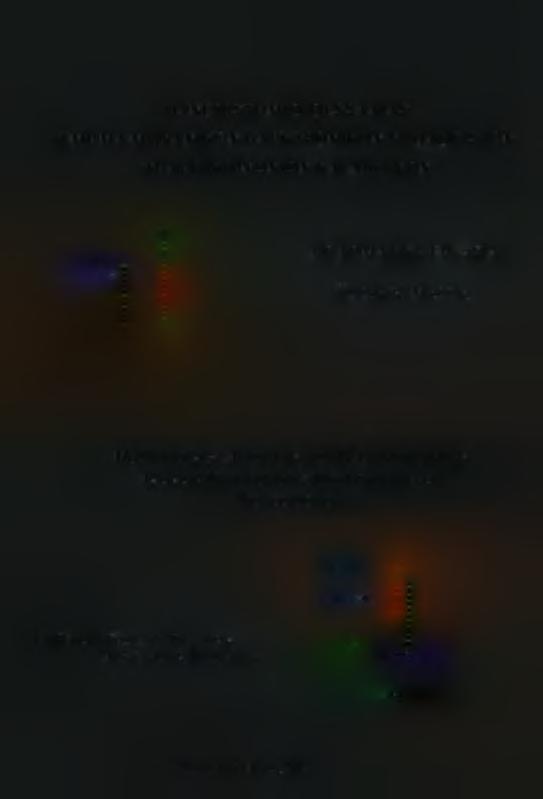 ΔΙΚΤΥΩΝ ΔΙΠΛΩΜΑΤΙΚΗ ΕΡΓΑΣΙΑ Τσιαμπάς Μιχάλης