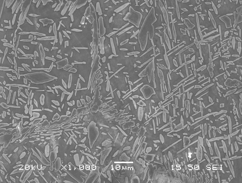 Ηλεκτρονικό Μικροσκόπιο Σάρωσης Εικόνα 38 Κόκκοι ωστενίτη