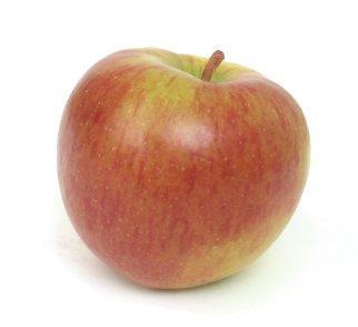 Braeburn o.