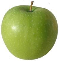osončeni