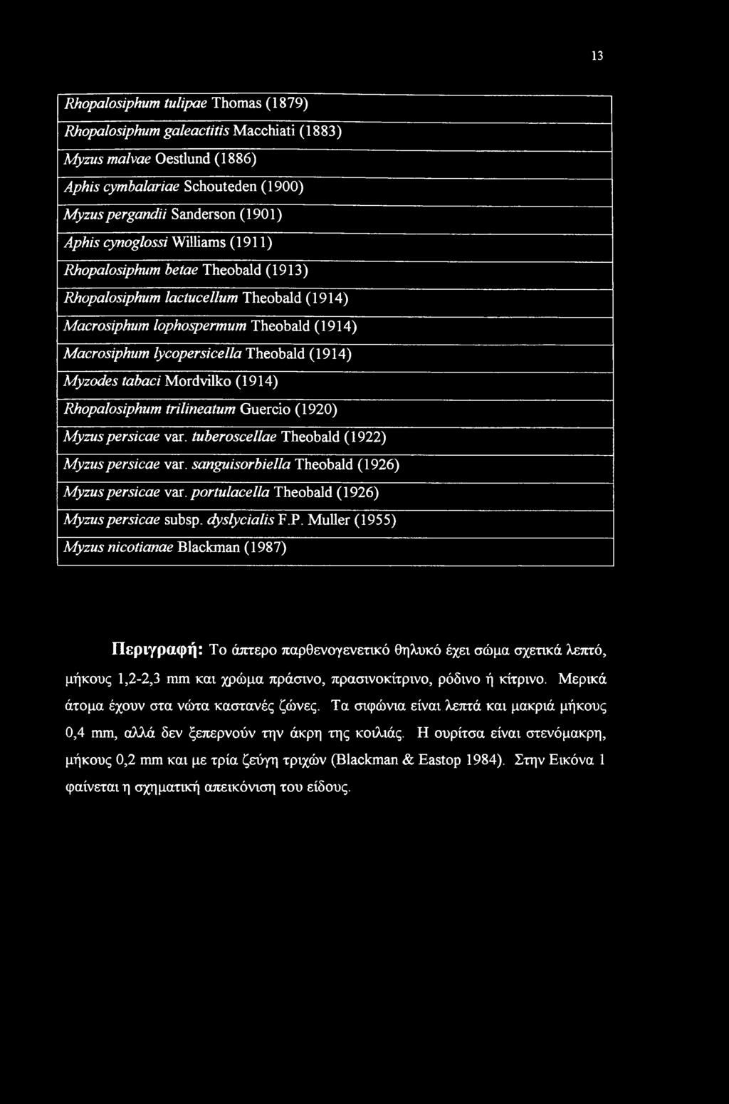 Mordvilko (1914) Rhopalosiphum trilineatum Guercio (1920) Myzus persicae var. tuberoscellae Theobald (1922) Myzus persicae var. sanguisorbiella Theobald (1926) Myzus persicae var.
