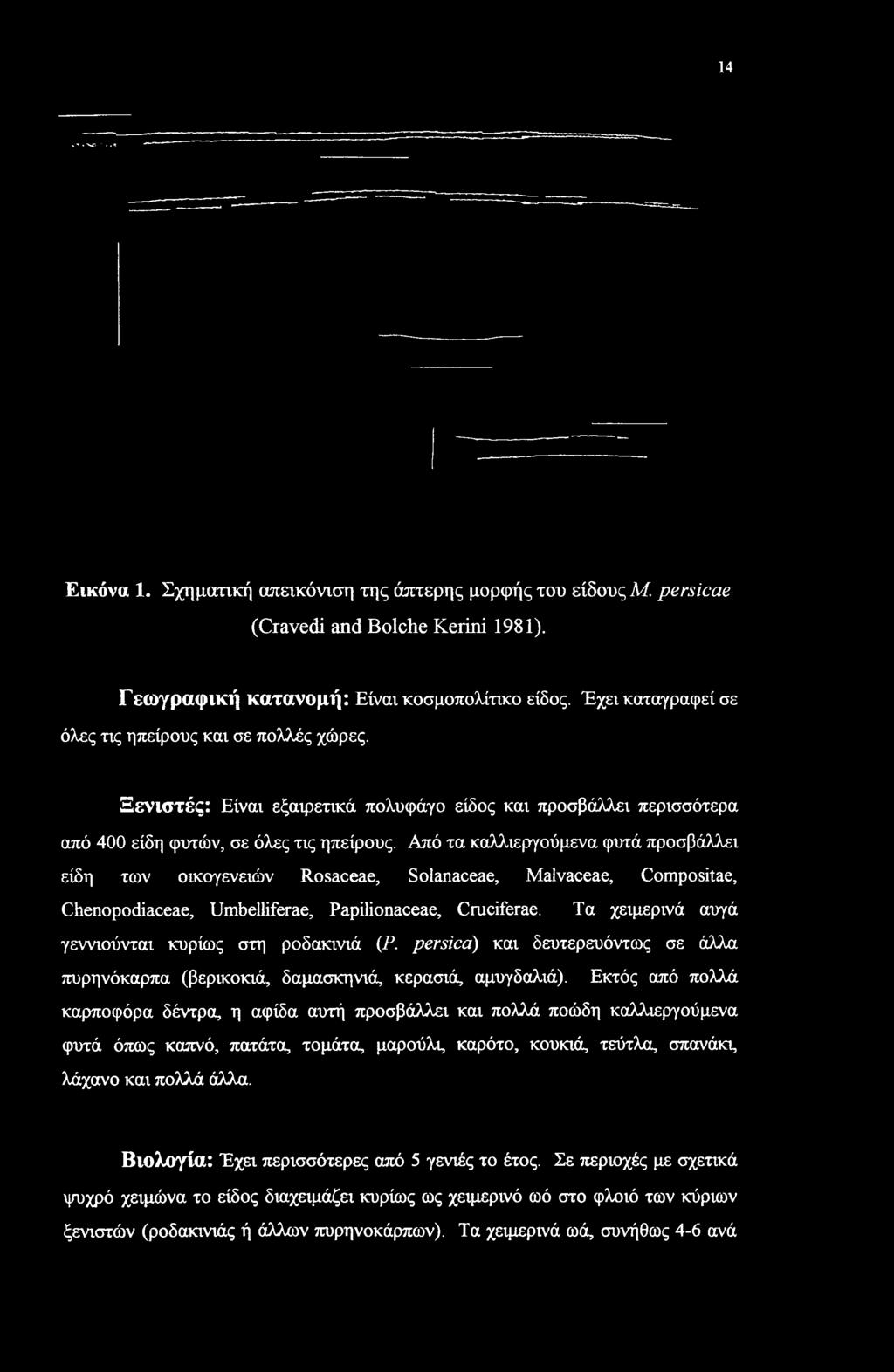 Από τα καλλιεργούμενα φυτά προσβάλλει είδη των οικογενειών Rosaceae, Solanaceae, Malvaceae, Compositae, Chenopodiaceae, Umbelliferae, Papilionaceae, Cruciferae.