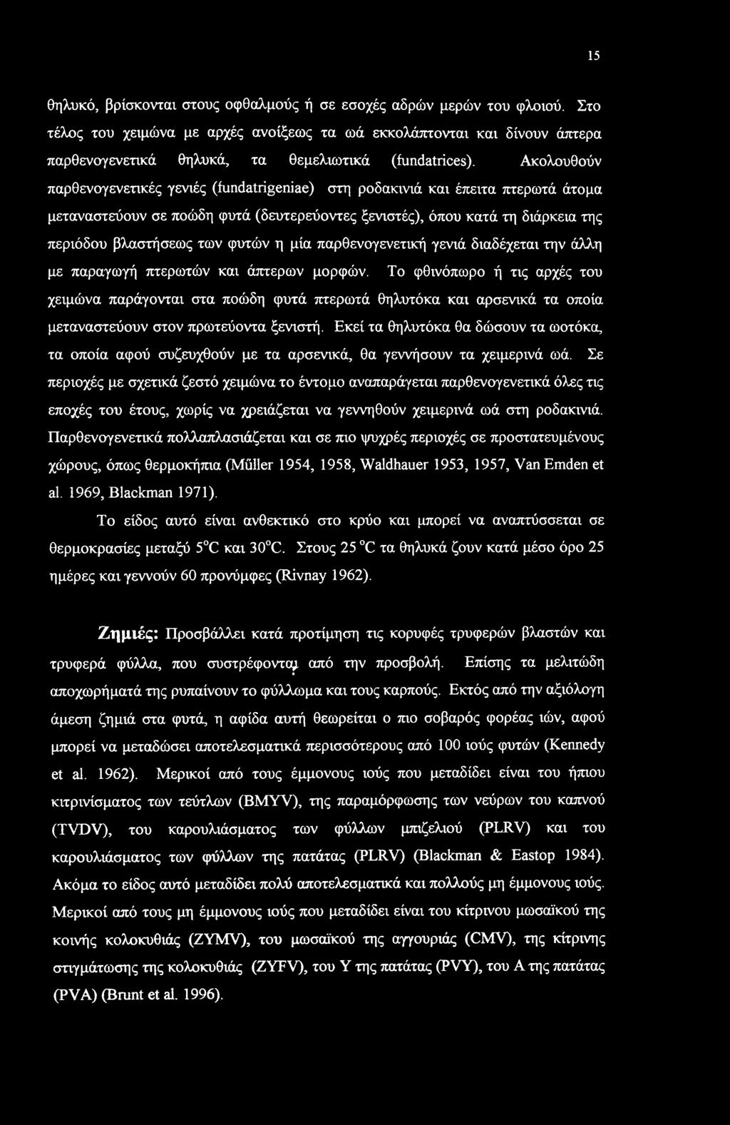 Ακολουθούν παρθενογενετικές γενιές (fundatrigeniae) στη ροδακινιά και έπειτα πτερωτά άτομα μεταναστεύουν σε ποώδη φυτά (δευτερεύοντες ξενιστές), όπου κατά τη διάρκεια της περιόδου βλαστήσεως των