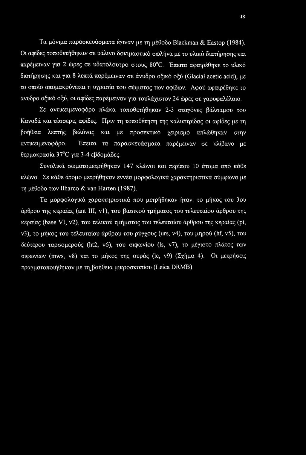 Έπειτα αφαιρέθηκε το υλικό διατήρησης και για 8 λεπτά παρέμειναν σε άνυδρο οξικό οξύ (Glacial acetic acid), με το οποίο απομακρύνεται η υγρασία του σώματος των αφίδων.