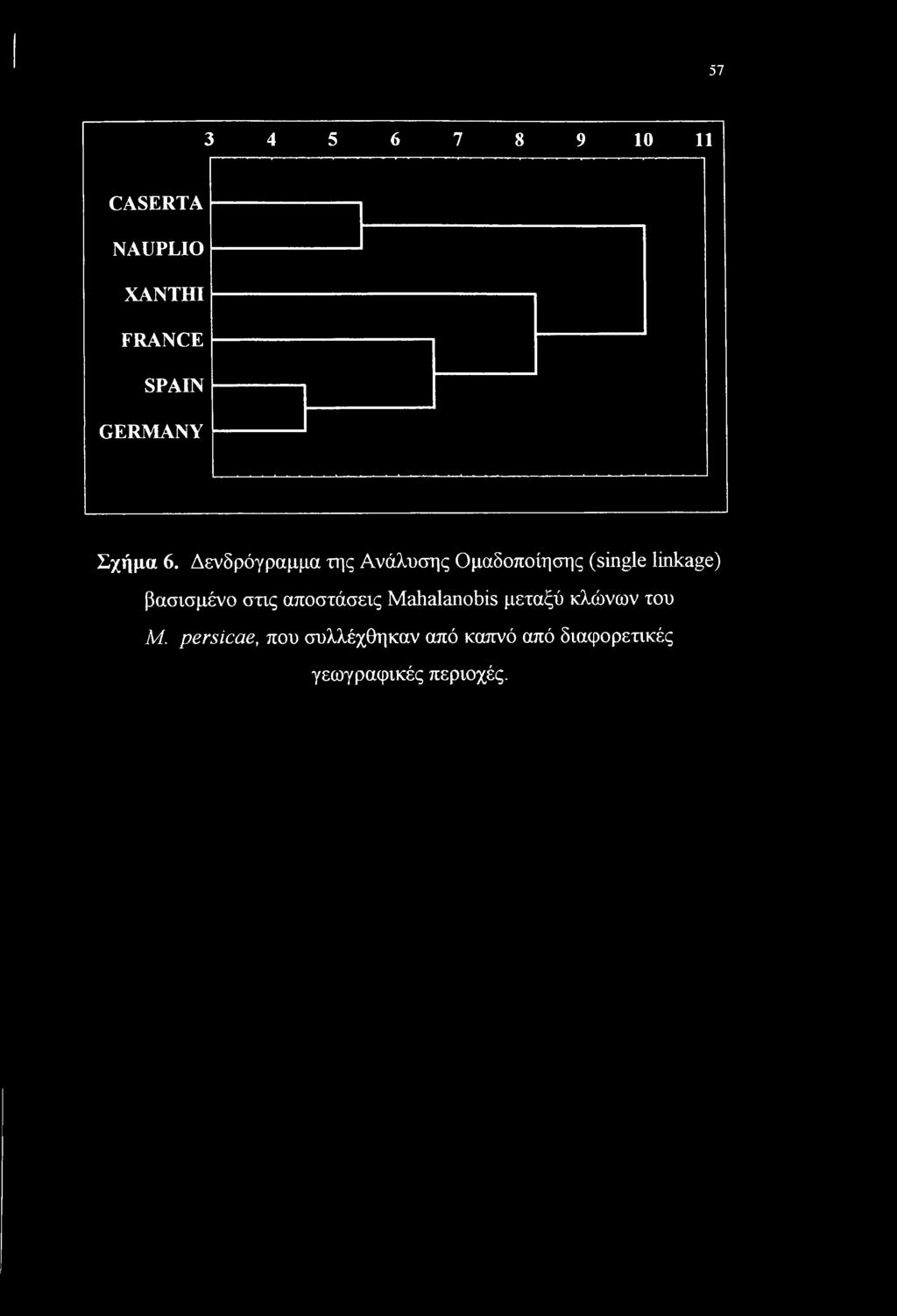 Δενδρόγραμμα της Ανάλυσης Ομαδοποίησης (single linkage)