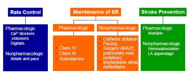 AF Treatment