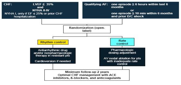 AF - CHF Trial 1376 pts (123 sites, 10 countries) with LVEF 35% and recent AF Rhythm Control: antiarrhythmic drugs (amiodarone 82%), cardioversions intended to maintain sinus
