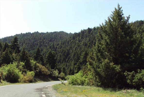 Σελίδα 4 Συγχαρητήριο μήνυμα Δημάρχου Θηβαίων στις/στους