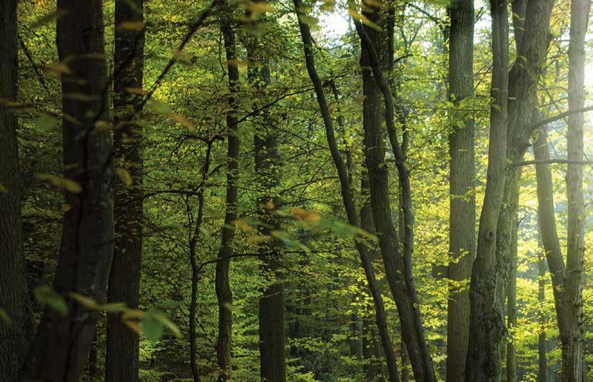 ΣΥΛΛΕΚΤΕΣ ΜΕΤΑΦΟΡΕΙΣ ECO TRANS ΕΠΕ 2310722500 ΑΓΓΕΛΟΣ ΣΩΤΗΡΙΟΥ & ΣΙΑ ΟΕ 2105818175 ΑΝΑΚΥΚΛΩΣΗ ΑΙΓΑΙΟΥ ΧΥΤΗΡΙΑ ΑΒΕΕ 2251031077 ΑΦΟΙ ΣΙΑΚΑΝΔΑΡΗ ΕΠΕ 2262058211 ΑΦΟΙ ΦΛΩΡΟΥ ΑΕ 2410575725 Δ.Κ. ΚΥΚΛΟΣ ΑΒΕΕ 2521081121 ΔΟΓΚΑΚΗΣ ΙΩΑΝ.