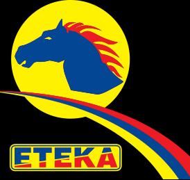 στη νήσο Χίο, την αναδιοργάνωση και εκσυγχρονισμό του συνόλου των διοικητικών υπηρεσιών καθώς επίσης και τη βελτίωση των οικονομικών μεγεθών της εταιρείας.
