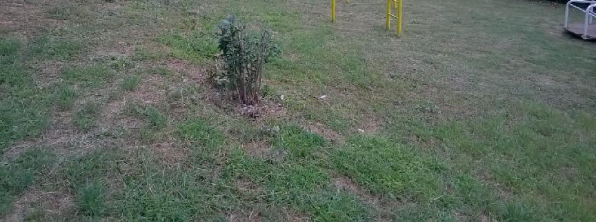 κρίνεται δυνατό να διατηρηθεί, οι